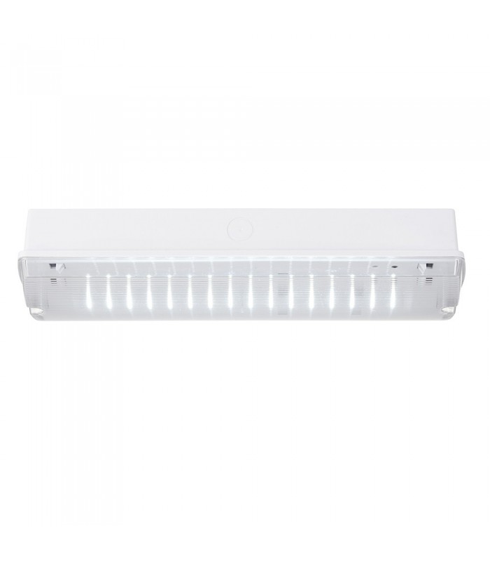 Outdoor Wall Emergency Bulkhead Light IP65 4.5W Gloss White - 3