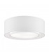 Flush Cylindrical Ceiling Lamp Chrome, 3 Light, E27 - 3