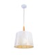 Dome Ceiling Pendant Lamp White, 1 Light, E27 - 1