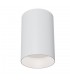 Surface Mounted Ceiling Downlight White, 1 Light, GU10 - 1