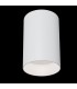 Surface Mounted Ceiling Downlight White, 1 Light, GU10 - 2