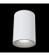 Surface Mounted Ceiling Downlight White, 1 Light, GU10 - 2