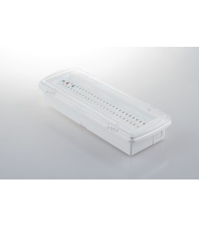Outdoor Multipurpose LED Lamp Surface Mountor Recessed Mount, White, IP65, 4000K - 1