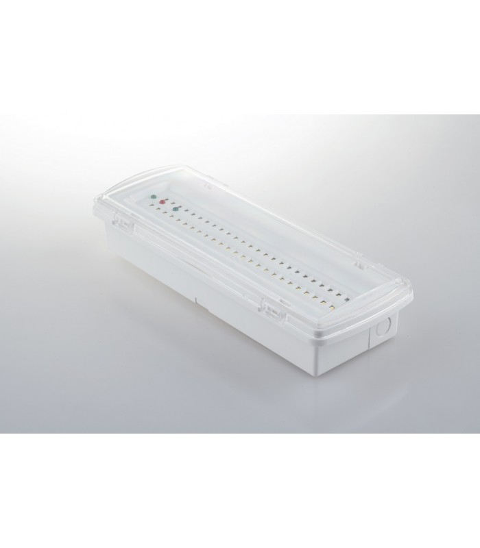 Outdoor Multipurpose LED Lamp Surface Mountor Recessed Mount, White, IP65, 4000K - 1
