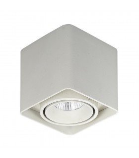 Modern Technical LED Surface Mounted White, warm White 3000K 840lm - 1