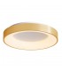 Modern LED Flush Ceiling Light Brushed Gold, Warm White 3000K 2750lm Dimmable - 3