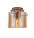 Modern Flush Ceiling Light Antique Bronze, Black 1 Light  with Glass Shade, E27 - 1