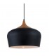 Modern Hanging Pendant Black 1 Light , E27 - 1