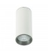 Modern Technical LED Surface Mounted White, Grey, Cool White 4000K 820lm - 1