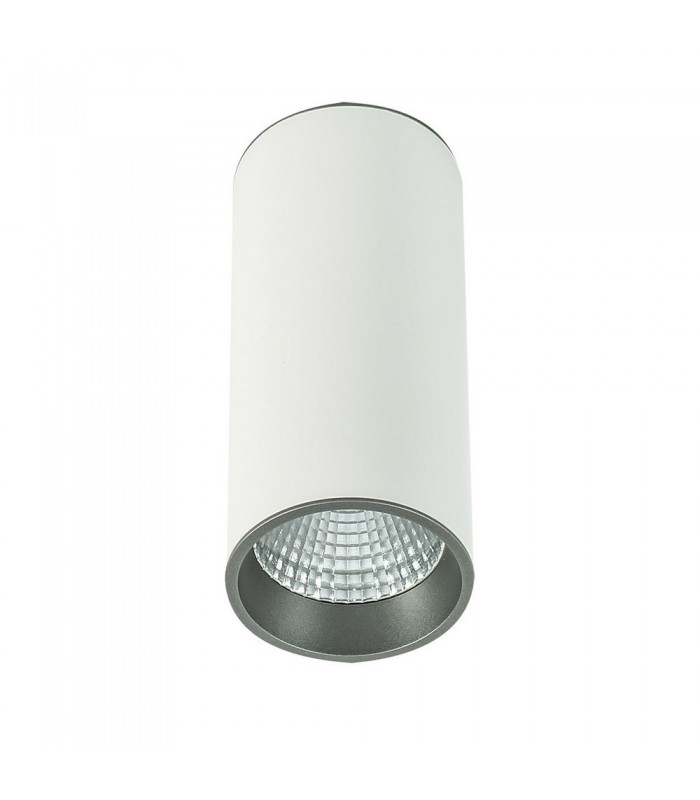 Modern Technical LED Surface Mounted White, Grey, Cool White 4000K 820lm - 1