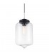 Industrial And Retro Hanging Pendant Black 1 Light  with Clear Shade, E27 - 1
