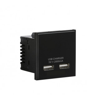 Dual USB charger (2A) Module 50 x 50mm - Black