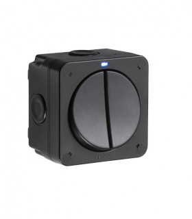 IP66 20AX 2G SP 2-way switch- Black