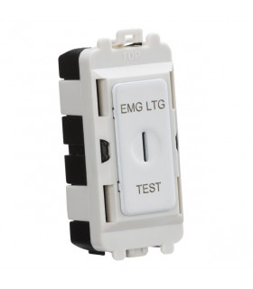 20AX 2 way SP key module (marked "EMG LTG TEST") - matt white