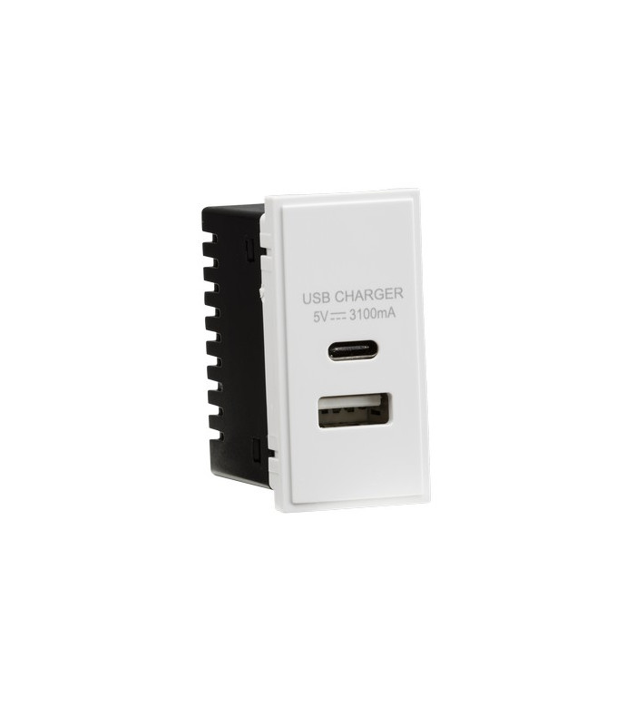 Dual USB Charger (3.1A) Module 25 x 50mm - White