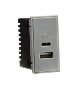 Dual USB Charger (3.1A) Module 25 x 50mm - Grey