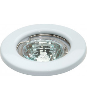 Chrome Downlight