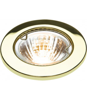Brushed Chrome Downlight