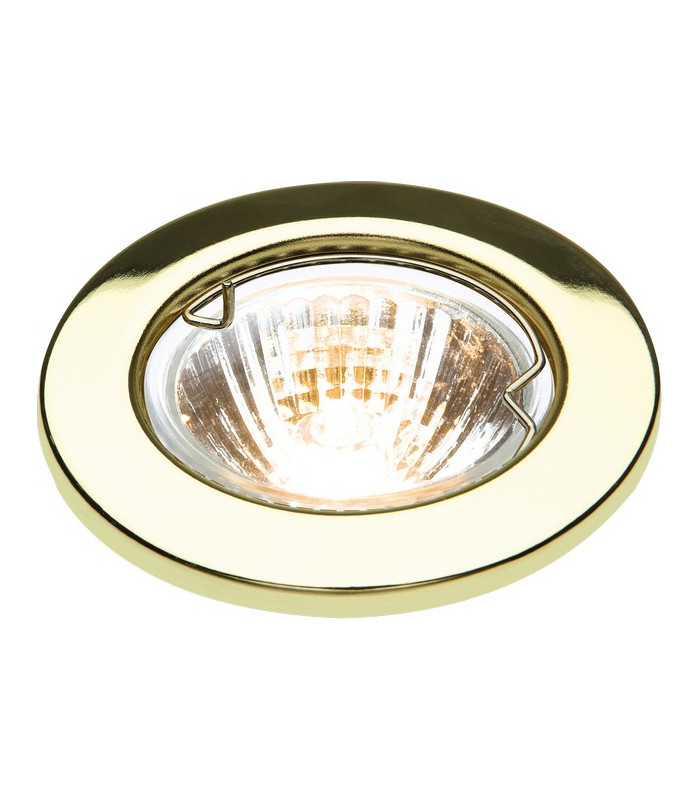 Brushed Chrome Downlight