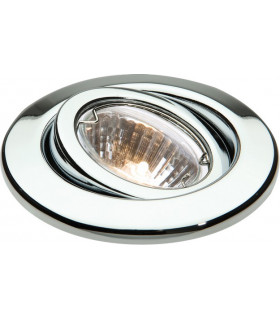 Brass Eyeball Downlight with Bridge
