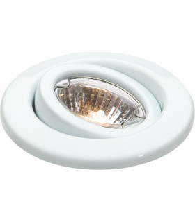White Eyeball Downlight with Bridge