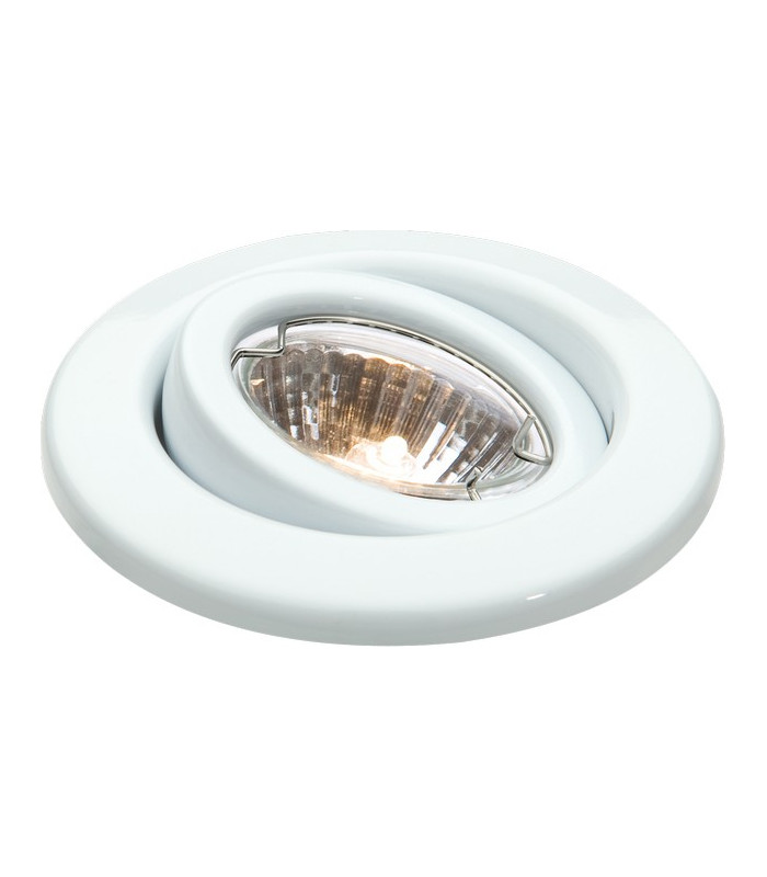 White Eyeball Downlight with Bridge