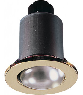 Chrome Gimbal Downlight