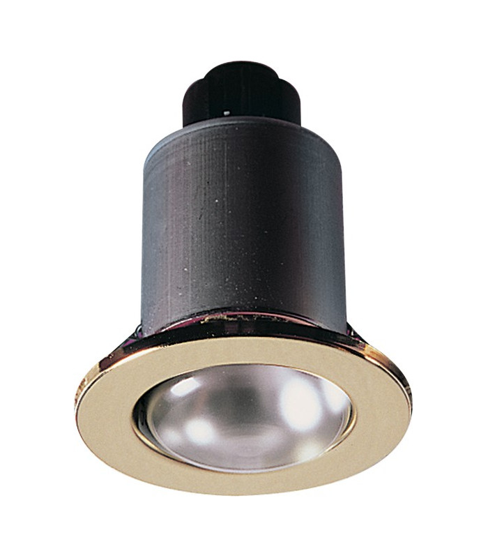 Chrome Gimbal Downlight