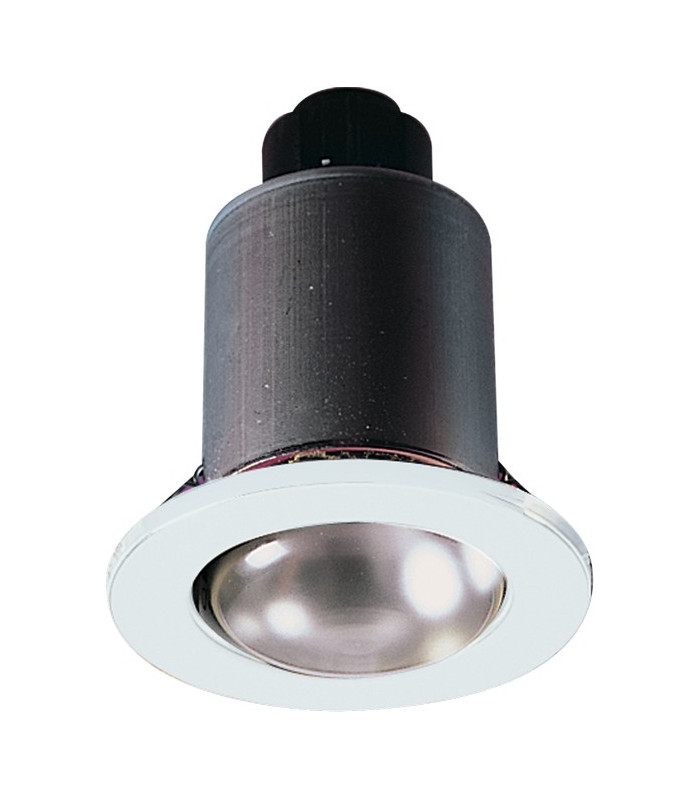 White Gimbal Downlight