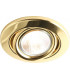 Brass Eyeball Downlight
