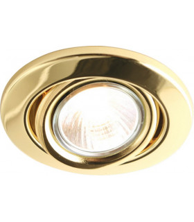 Brass Eyeball Downlight