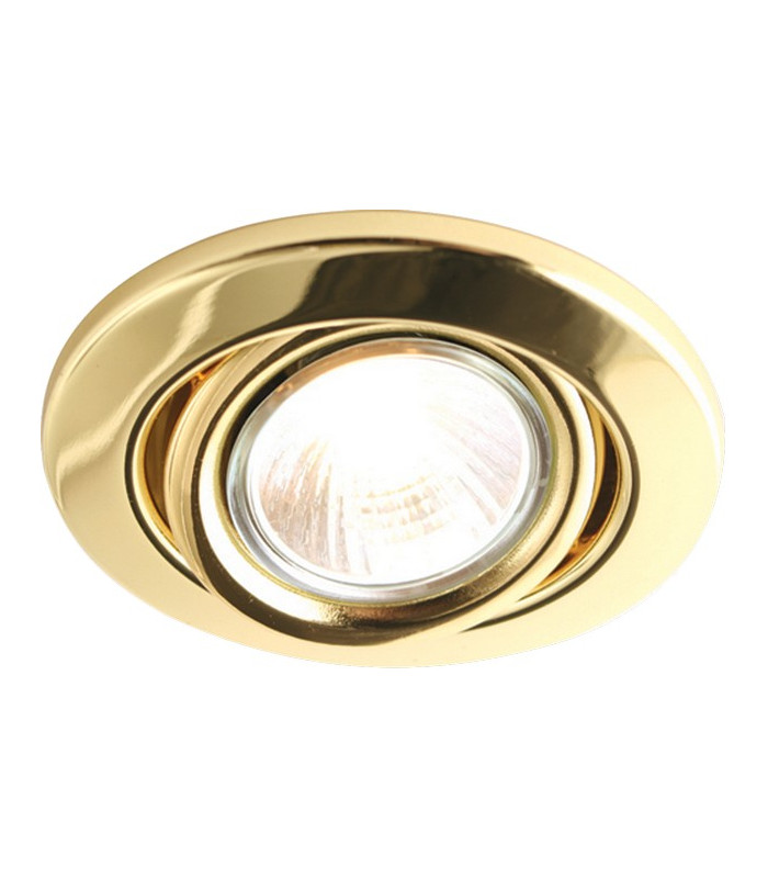 Brass Eyeball Downlight