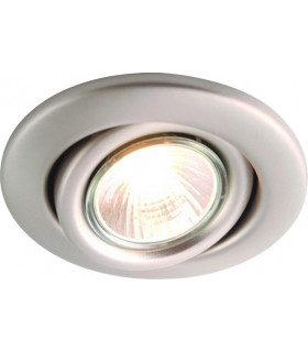 White Eyeball Downlight