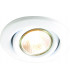 Brass Eyeball Downlight