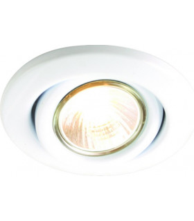 Brass Eyeball Downlight