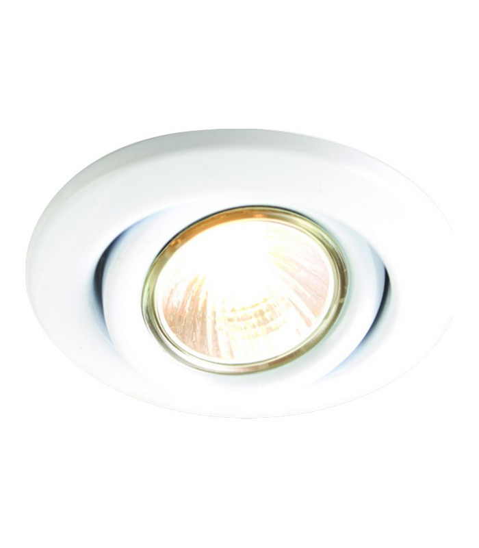 Brass Eyeball Downlight