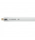 Stainless Steel Single Fixed GU10 35W Fitting