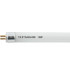 Voltage LED Stainless Steel Spike Light
