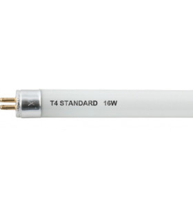 Voltage LED Stainless Steel Spike Light
