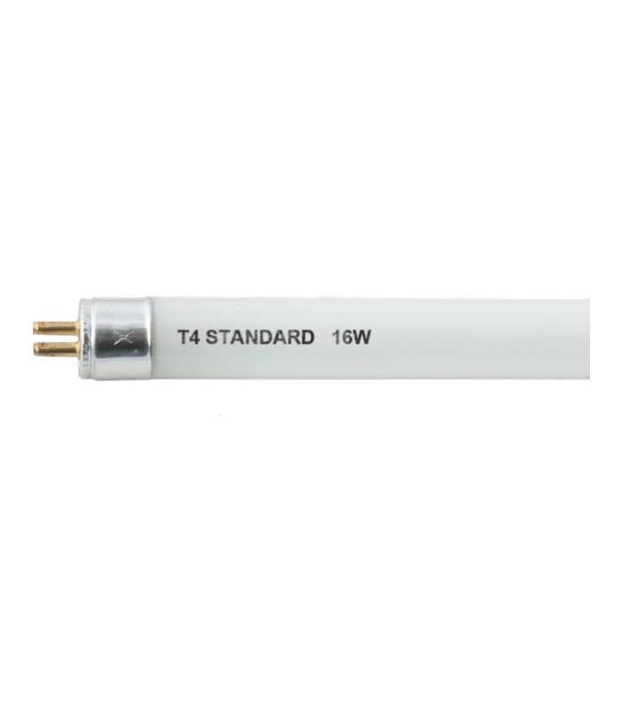 Voltage LED Stainless Steel Spike Light