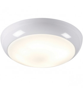 High Powered Mains Voltage White LED with Built-in Driver
