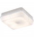 E27 Energy Efficient PAR38 Lamp Green