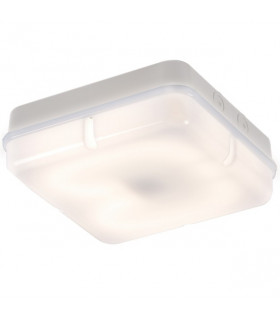E27 Energy Efficient PAR38 Lamp Green