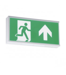 CAT2 Surface Mounted Emergency Fluorescent Fitting