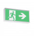 CAT2 Surface Mounted Emergency Fluorescent Fitting