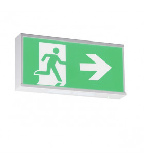 CAT2 Surface Mounted Emergency Fluorescent Fitting