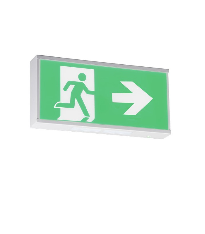 CAT2 Surface Mounted Emergency Fluorescent Fitting