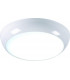 LED 4000K Cool White Bathroom Downlight with White Bezel
