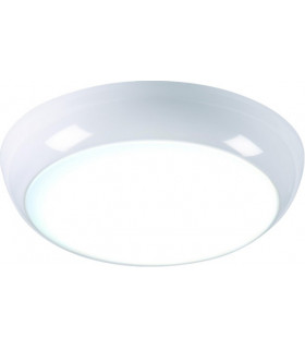 LED 4000K Cool White Bathroom Downlight with White Bezel