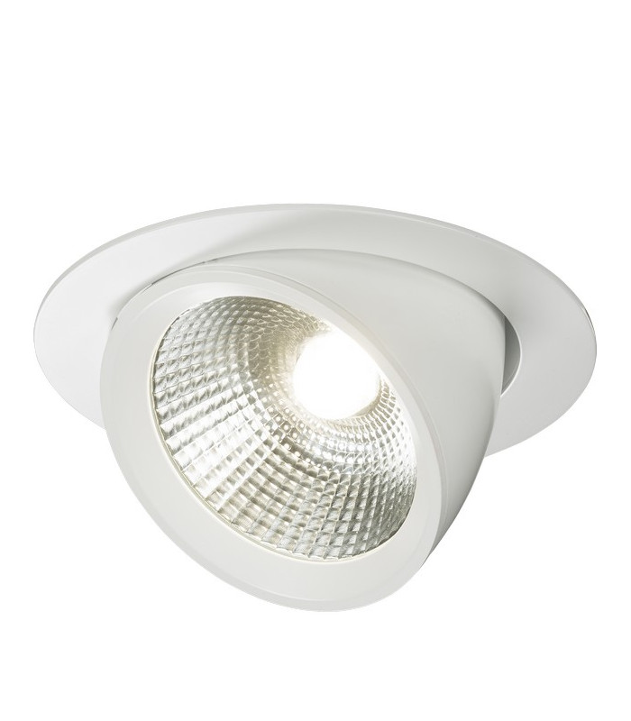 Bathroom Recessed Downlight - Brushed Chrome
